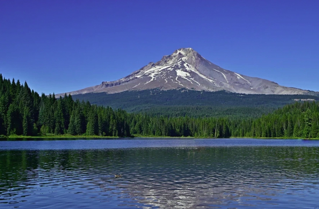Oregon land parcel records for Oregon Land Offer Review Checklist