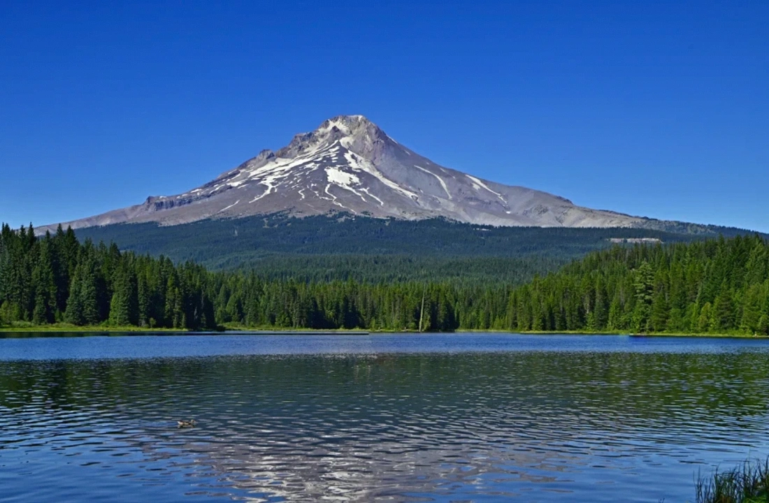Oregon land closing documents for Oregon Land Offer Review Checklist