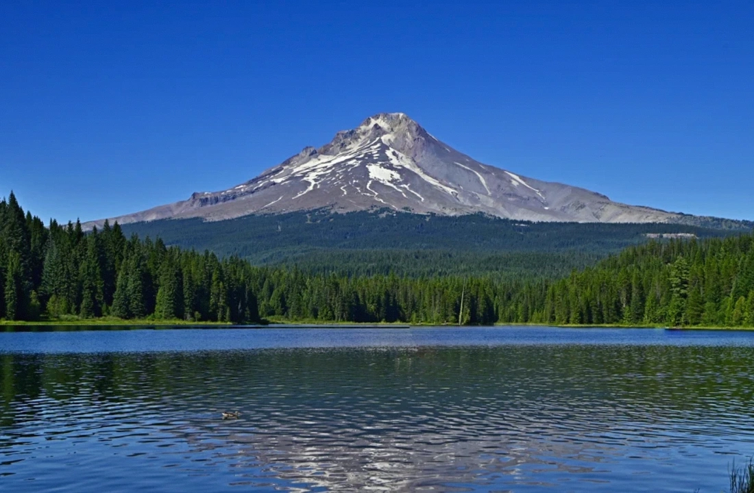 Oregon land offer review for Selling Inherited Oregon Land Without Listing