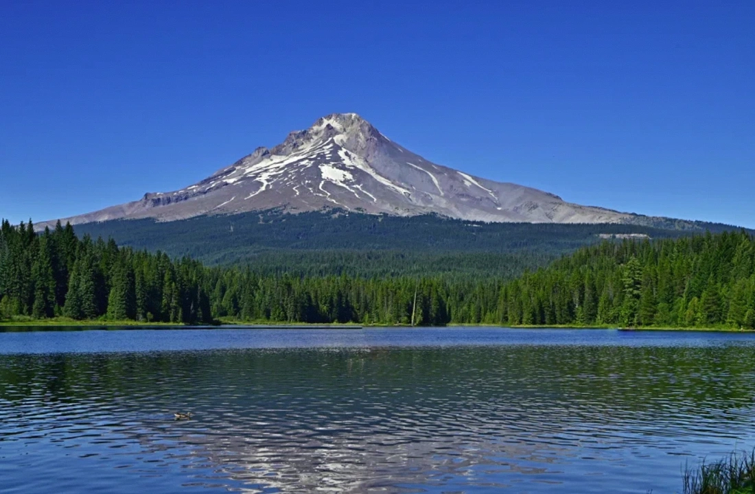 Oregon land closing documents for Selling Inherited Oregon Land Without Listing