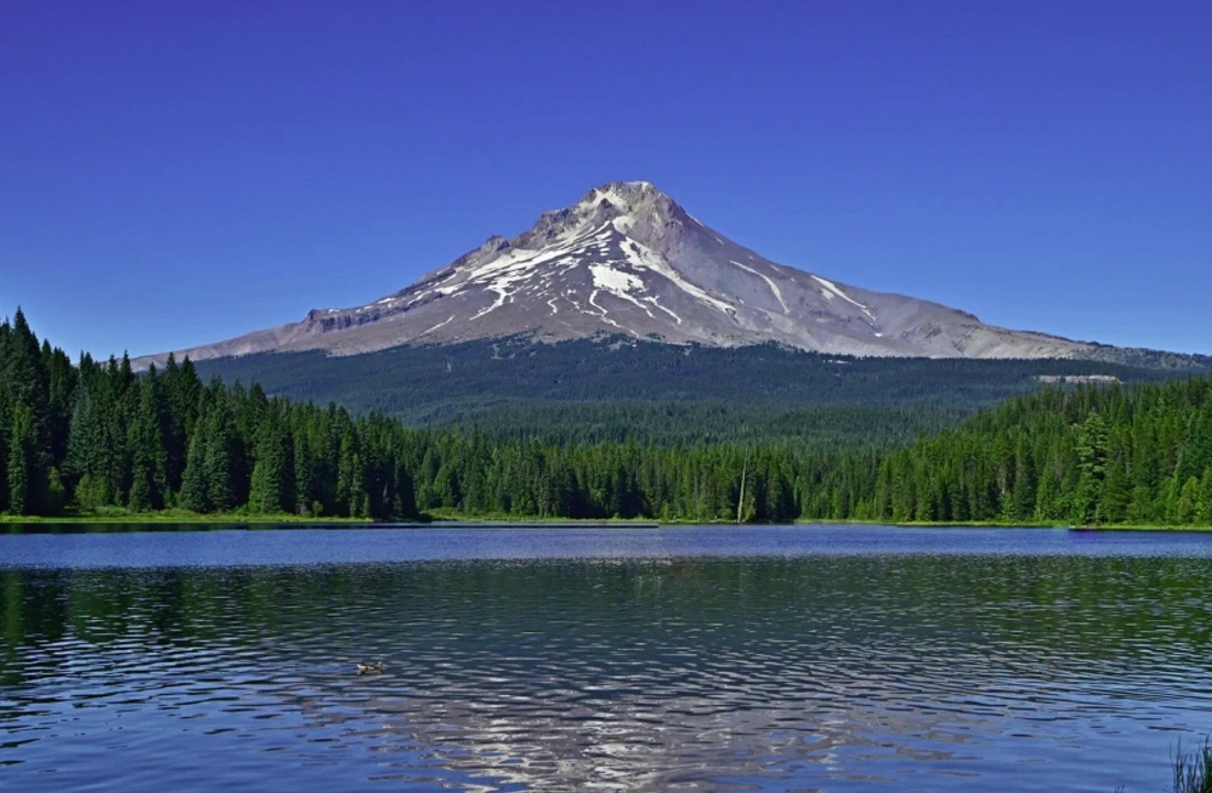 Oregon land offer review for How to Sell Oregon Land Privately