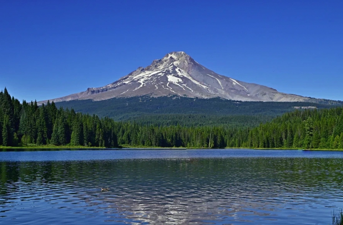 Oregon land offer review for How to Sell Oregon Land With Tax Issues