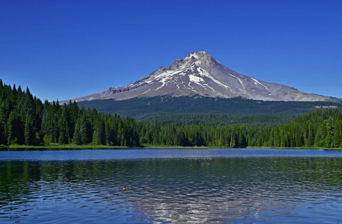 Oregon land parcel records for How to Sell Remote Oregon Acreage