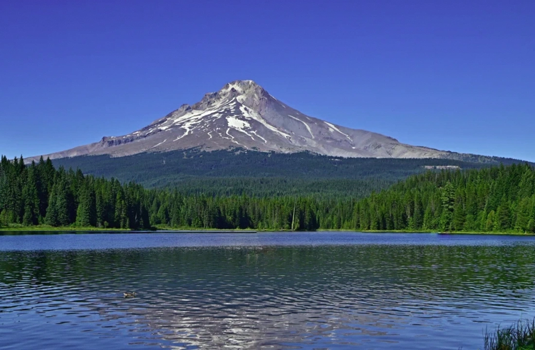 Oregon land closing documents for How to Sell Remote Oregon Acreage